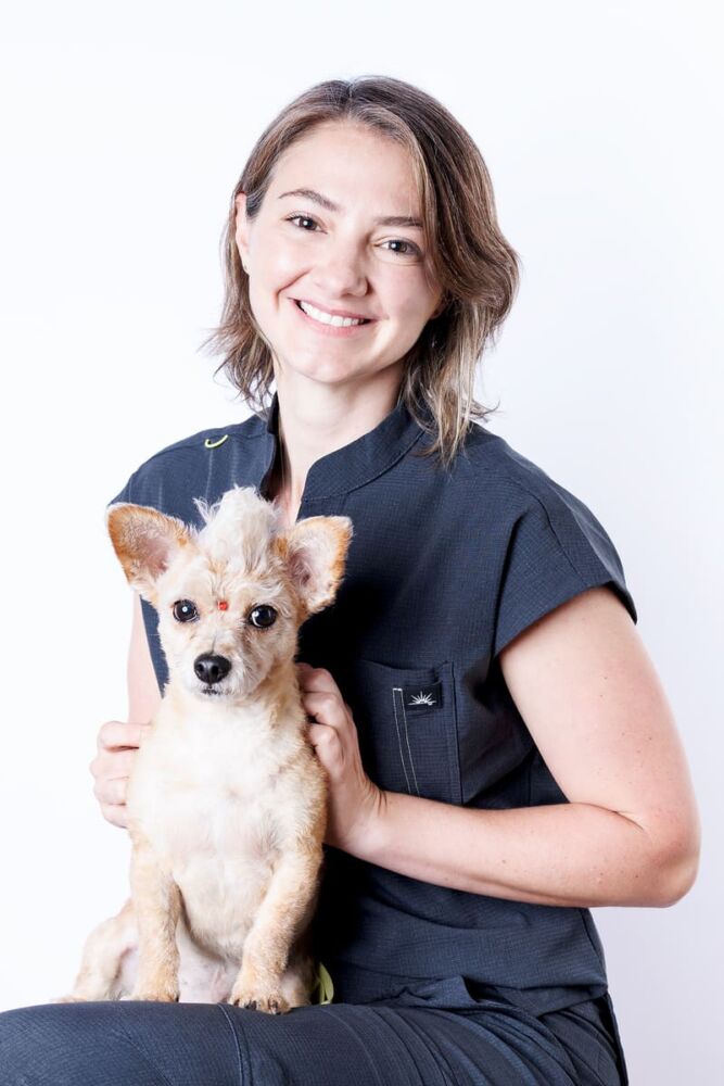 VITALVET.GIULIANA MAZZERO2072 VITALVET.GIULIANA MAZZERO2072